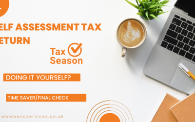 Self – Assessment Tax Returns – Time Saver/Final Check Information