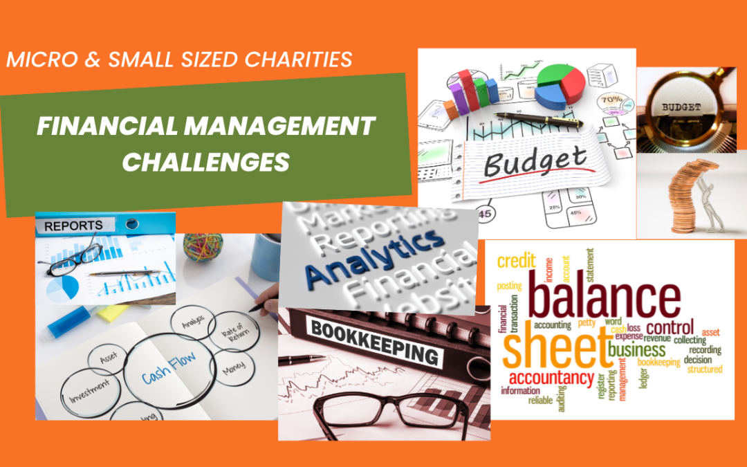 Solutions to Challenges faced by Micro and Small Sized Charities
